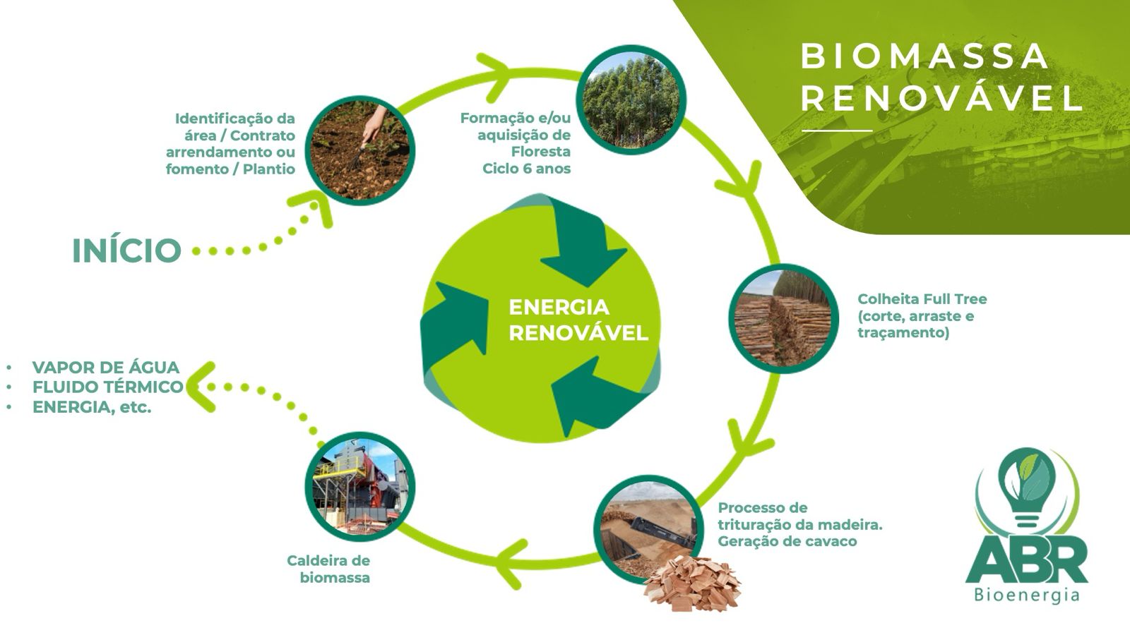 biomassa